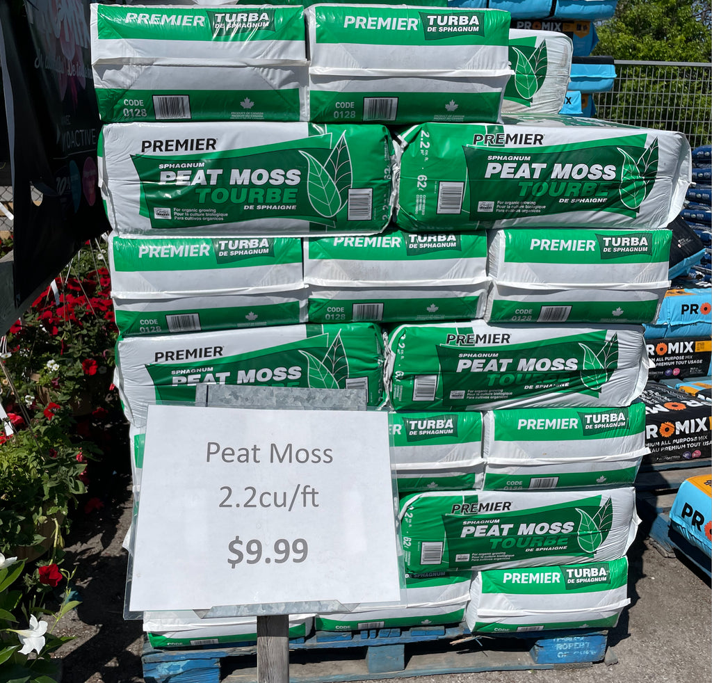 What is peat moss? (and why it's terrible for the environment)